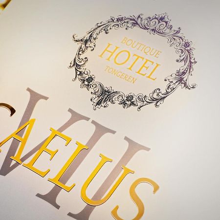Boutique Hotel Caelus VII Tongeren Exterior photo